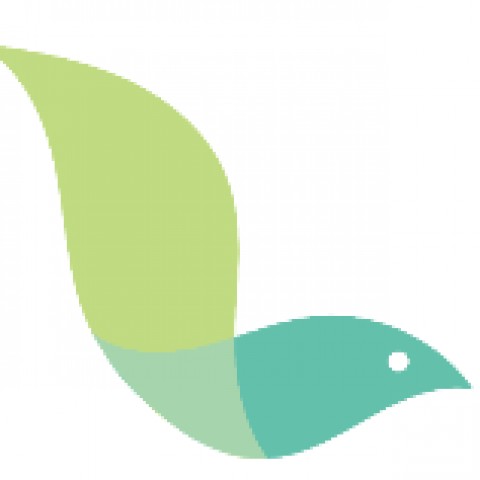 利伯他茲